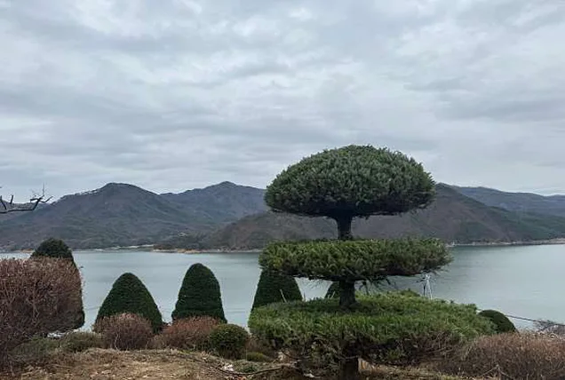 충주호