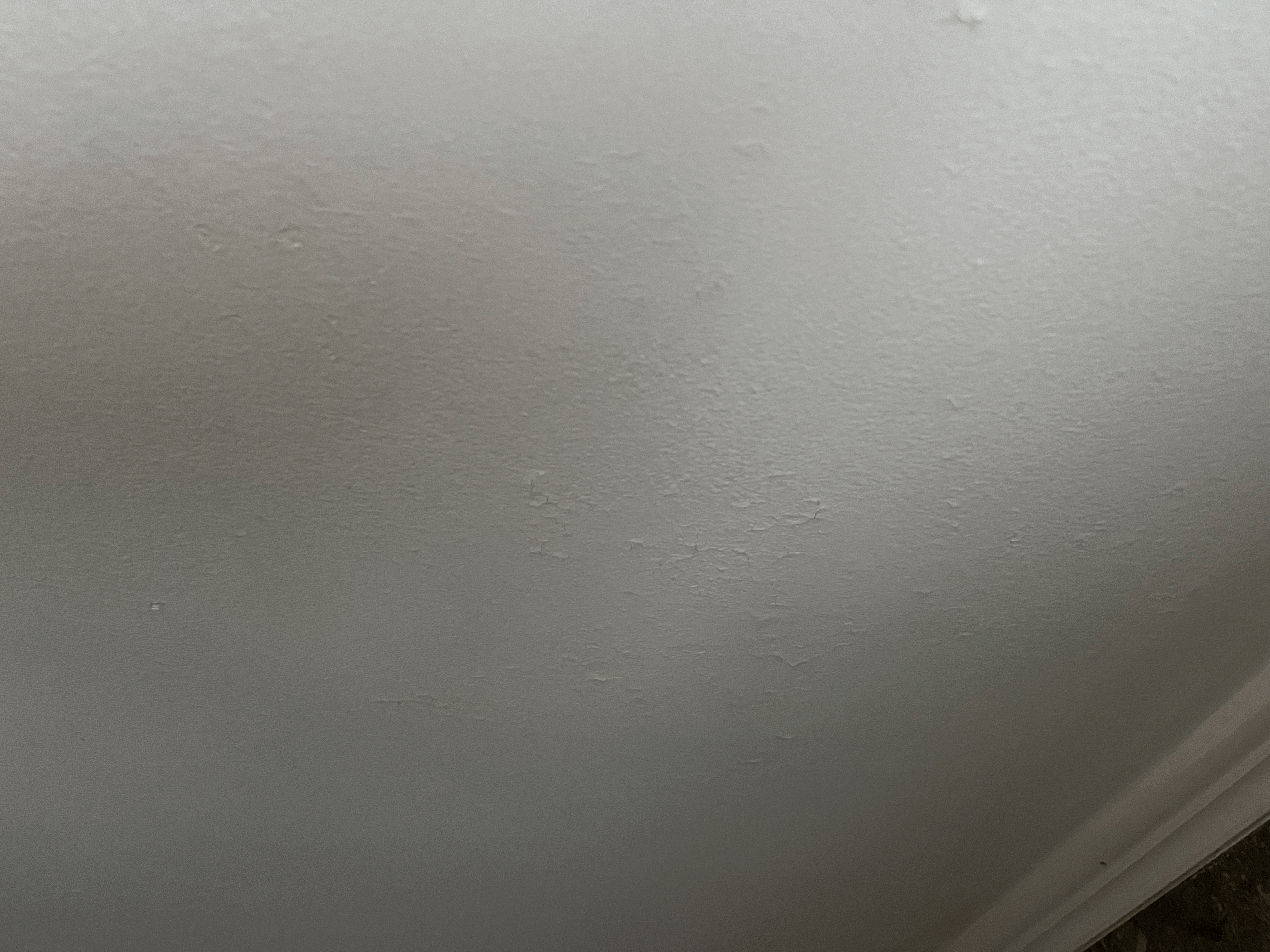 How to Fix Bathroom Ceiling Paint Peeling and Cracking