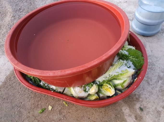 김장배추-고르는-법-및-배추절이는-방법-절임배추-보관법