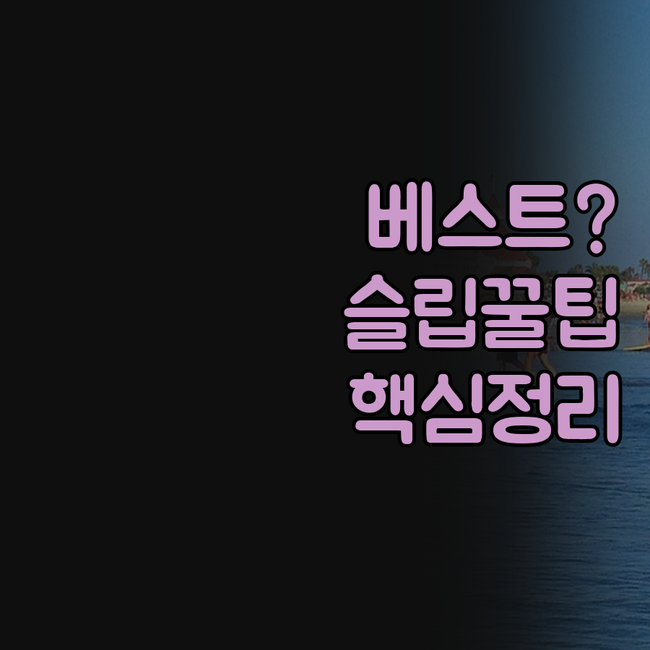 슬립 인 베스트 웨스턴 홀리데이 인 ..