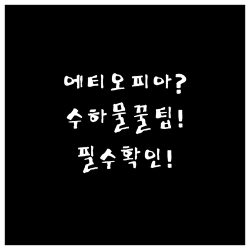 에티오피아항공 기내 반입 및 위탁수하..