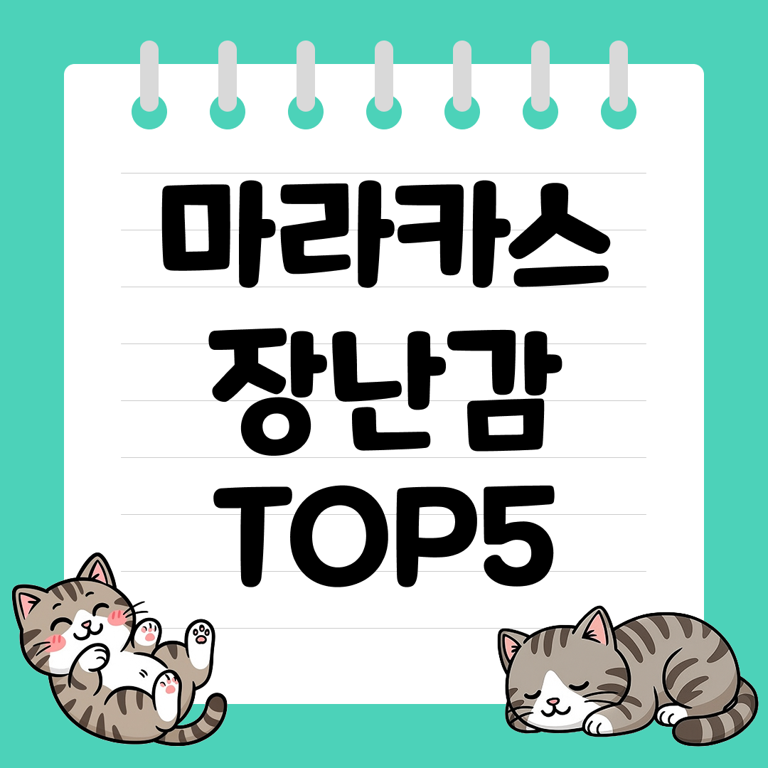 손에 쥐고 흔들며 배우는 교육용 마라카스 장난감 추천 순위 TOP5