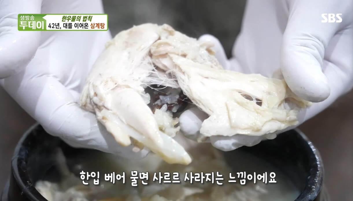 생방송투데이 살맛나는오늘 한우물의 법칙 42년 대를 이어온 삼계탕