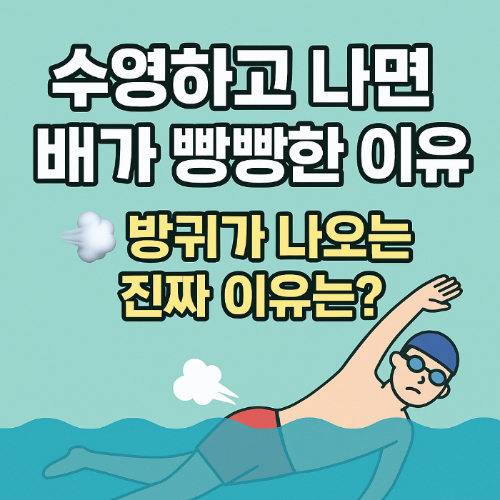 수영 후 가스 방귀