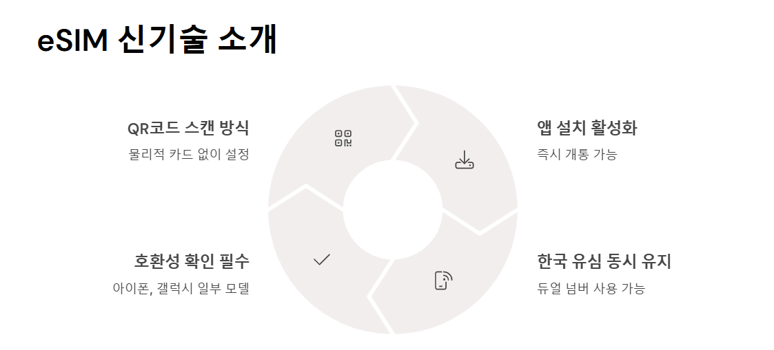 해외여행 유심 vs 포켓 와이파이 선택 가이드