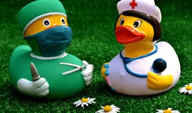 코히 의무교육 온라인 신청방법, 수료증 발급방법