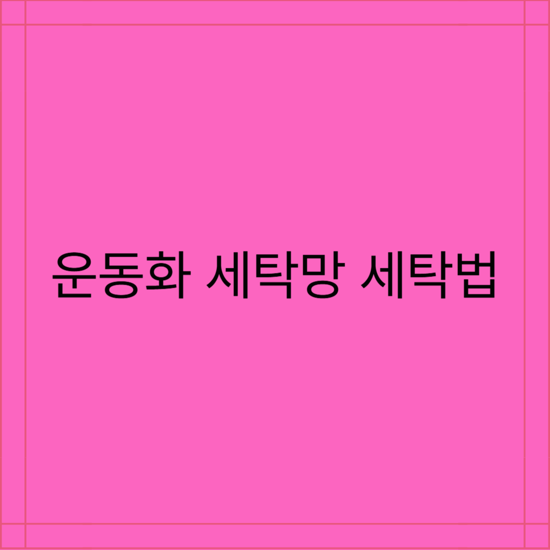 집에서 쉽게 하는 운동화 세탁법 세탁망 추천 이름 가격