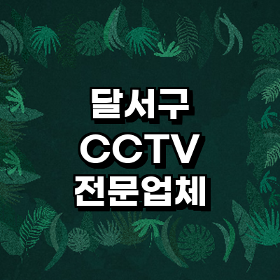 대구 달서구 cctv