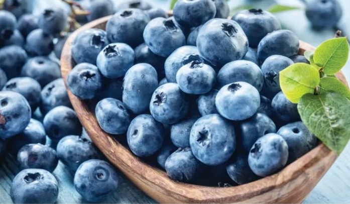 블루베리 효능 부작용