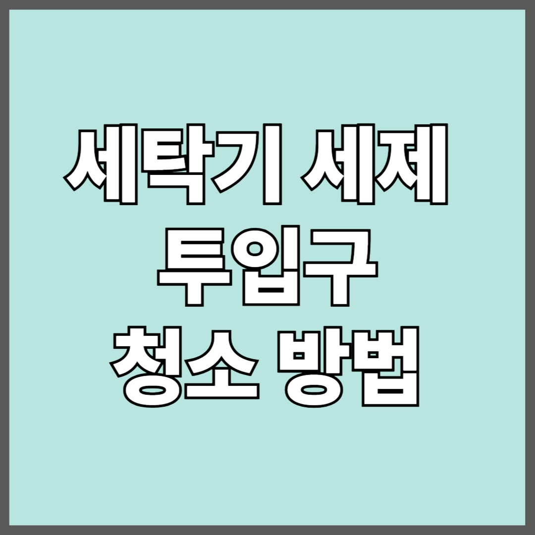 세탁기 세제 투입구, 진짜 딥클린 하는 법