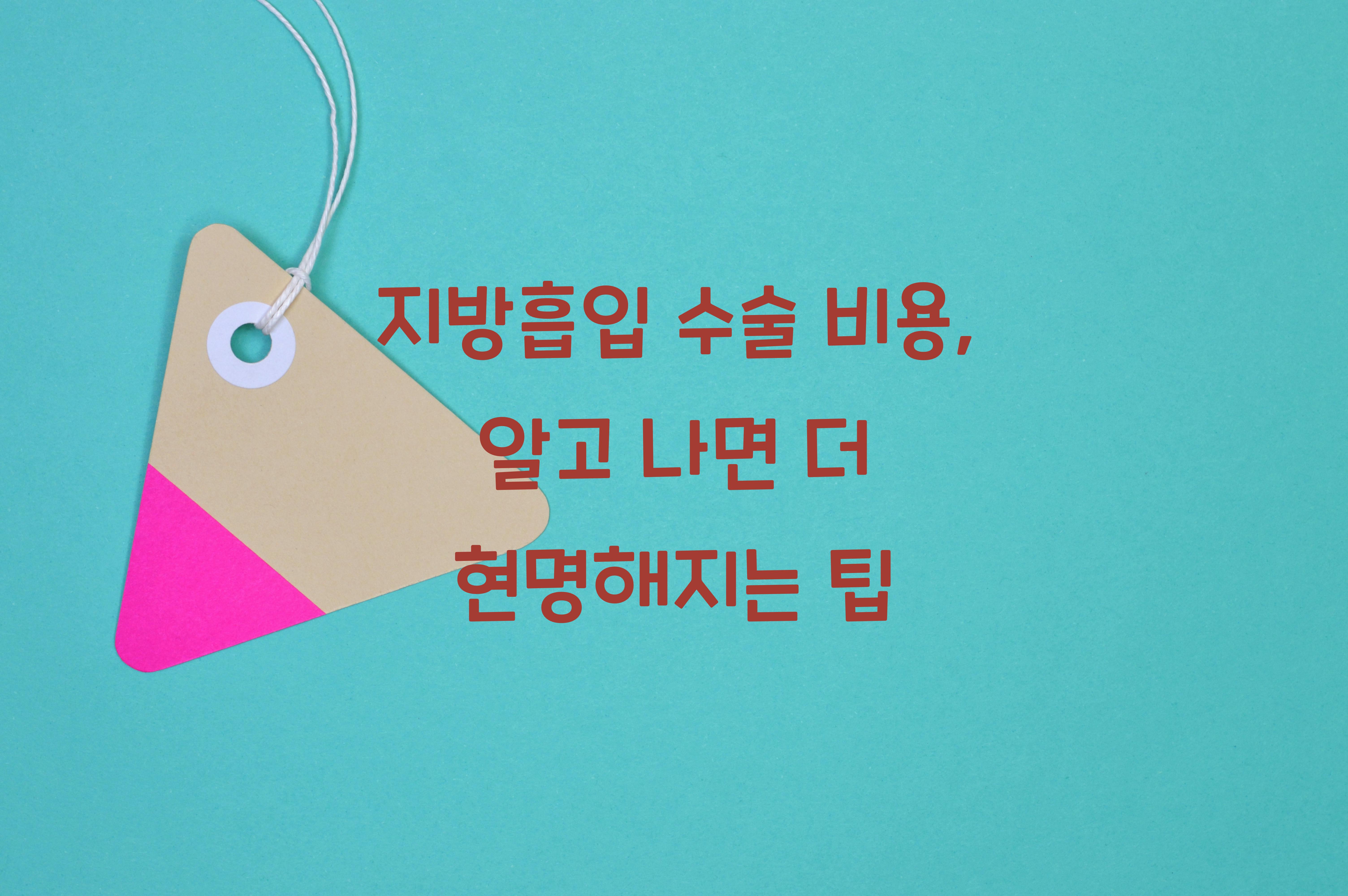 지방흡입 수술 비용