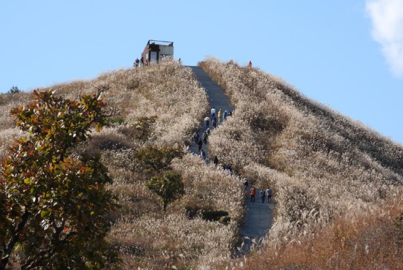 황매산 등산코스
