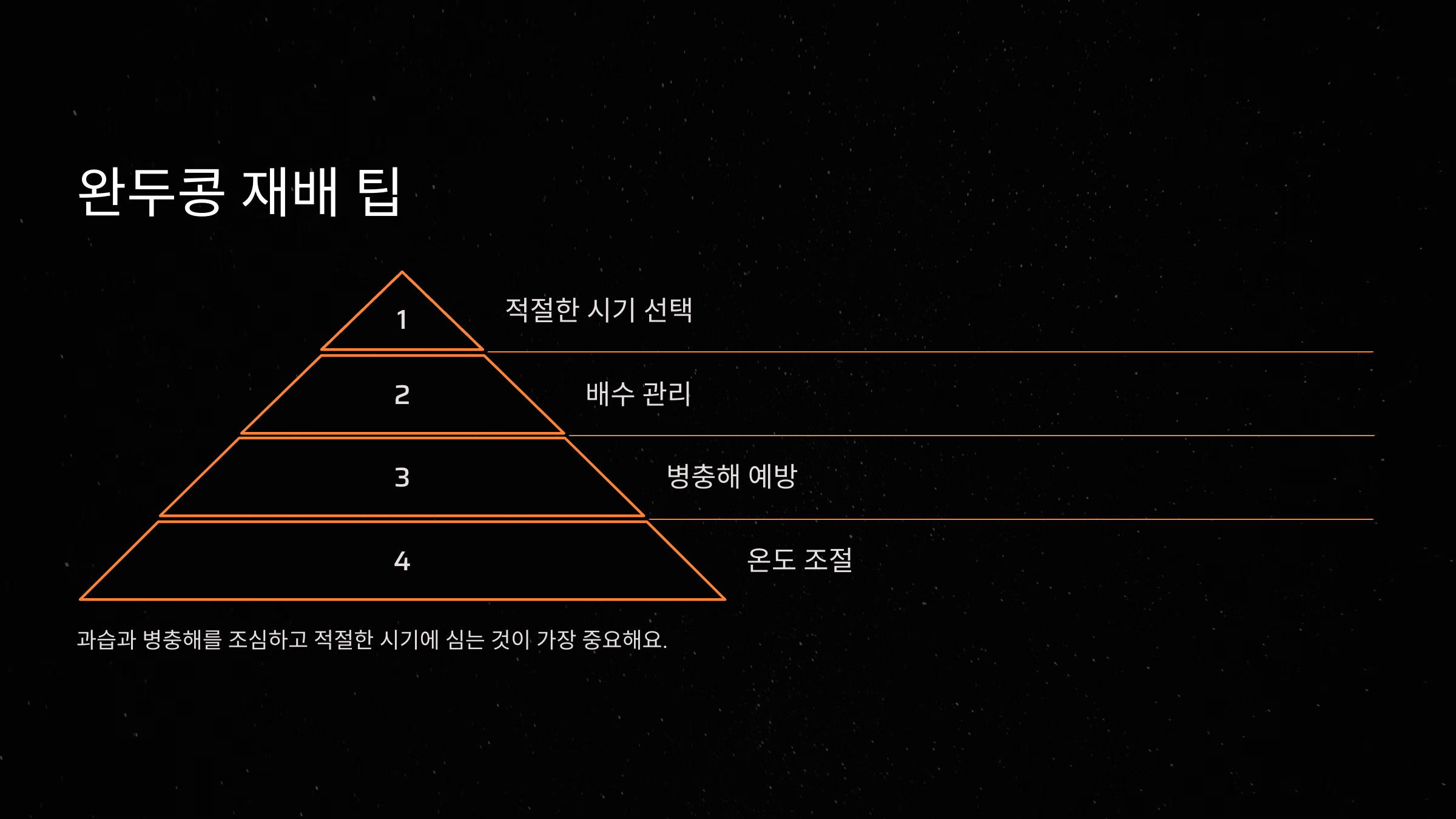 완두콩 재배 시 주의할 점