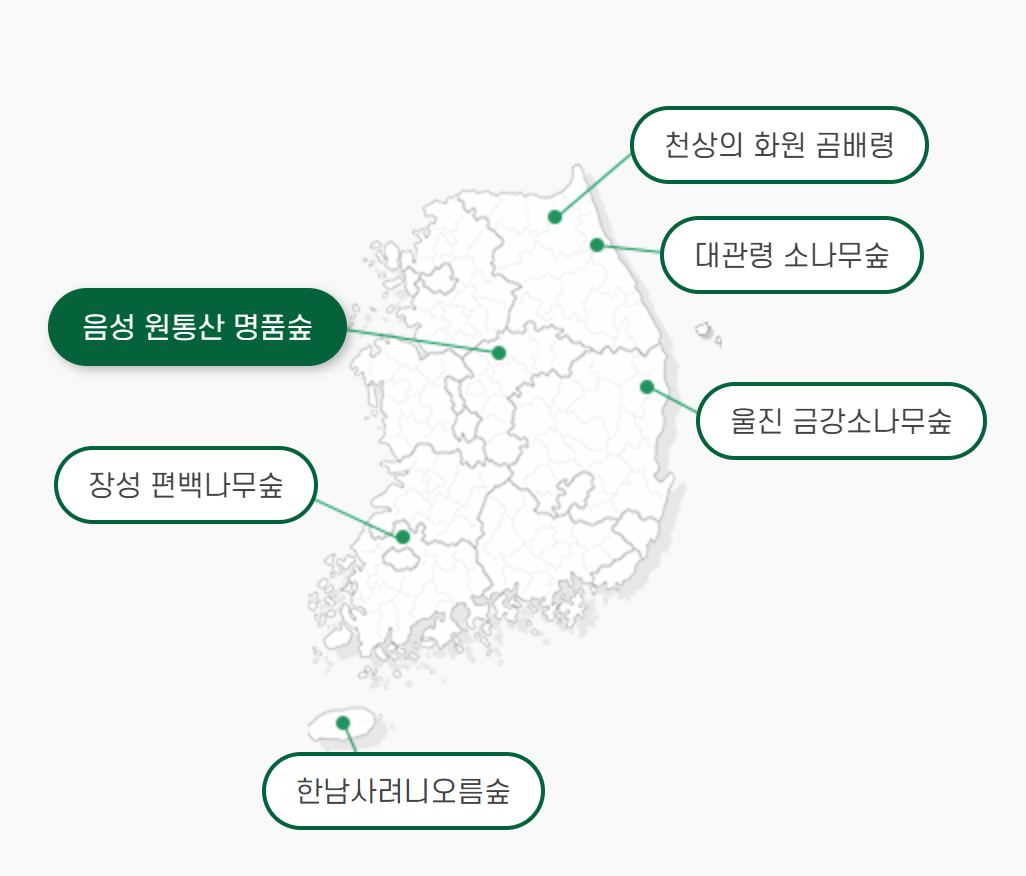 자연휴양림