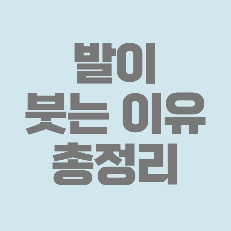 발이 붓는 이유