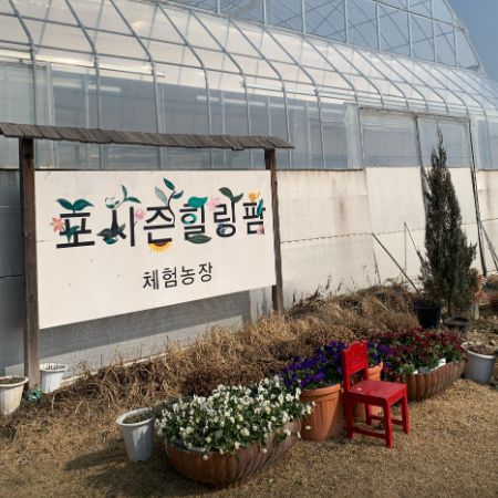 포시즌힐링팜