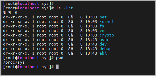 /proc/sys 값 확인
