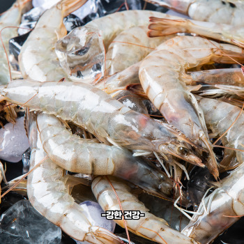 대하 소금구이 방법