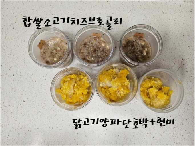 소고기와 닭고기를 이용한 아기 이유식