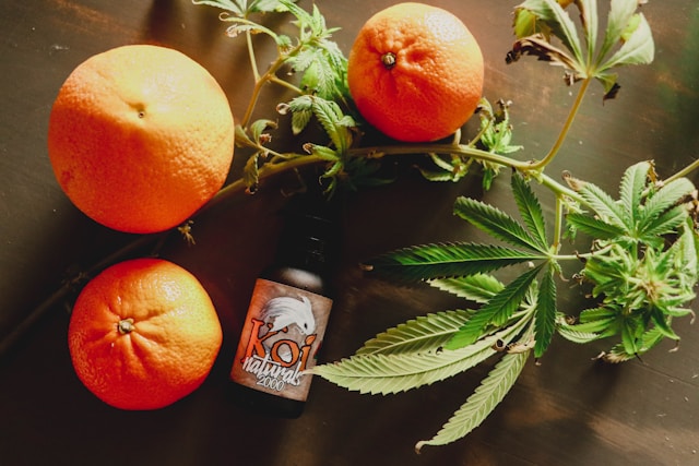 임산부 엽산 폭탄 한라봉 효능 완벽정리