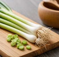 김장 쪽파 심는 시기