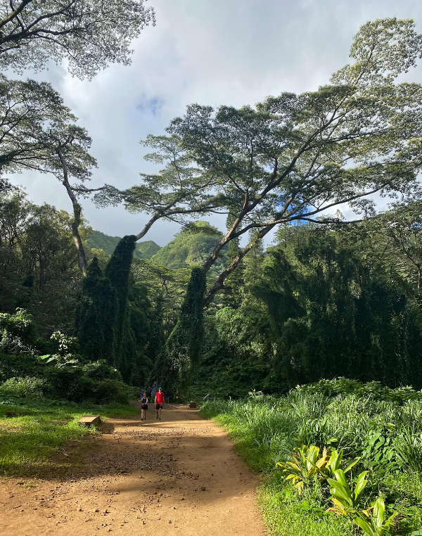 쿠리오우오-릿지-트레일-사진