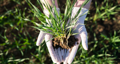 농지연금 가입조건