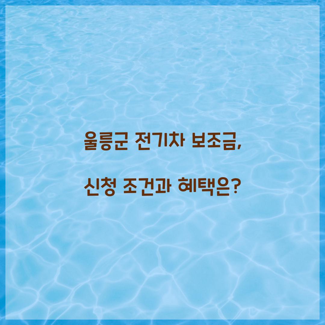 울릉군 전기차 보조금