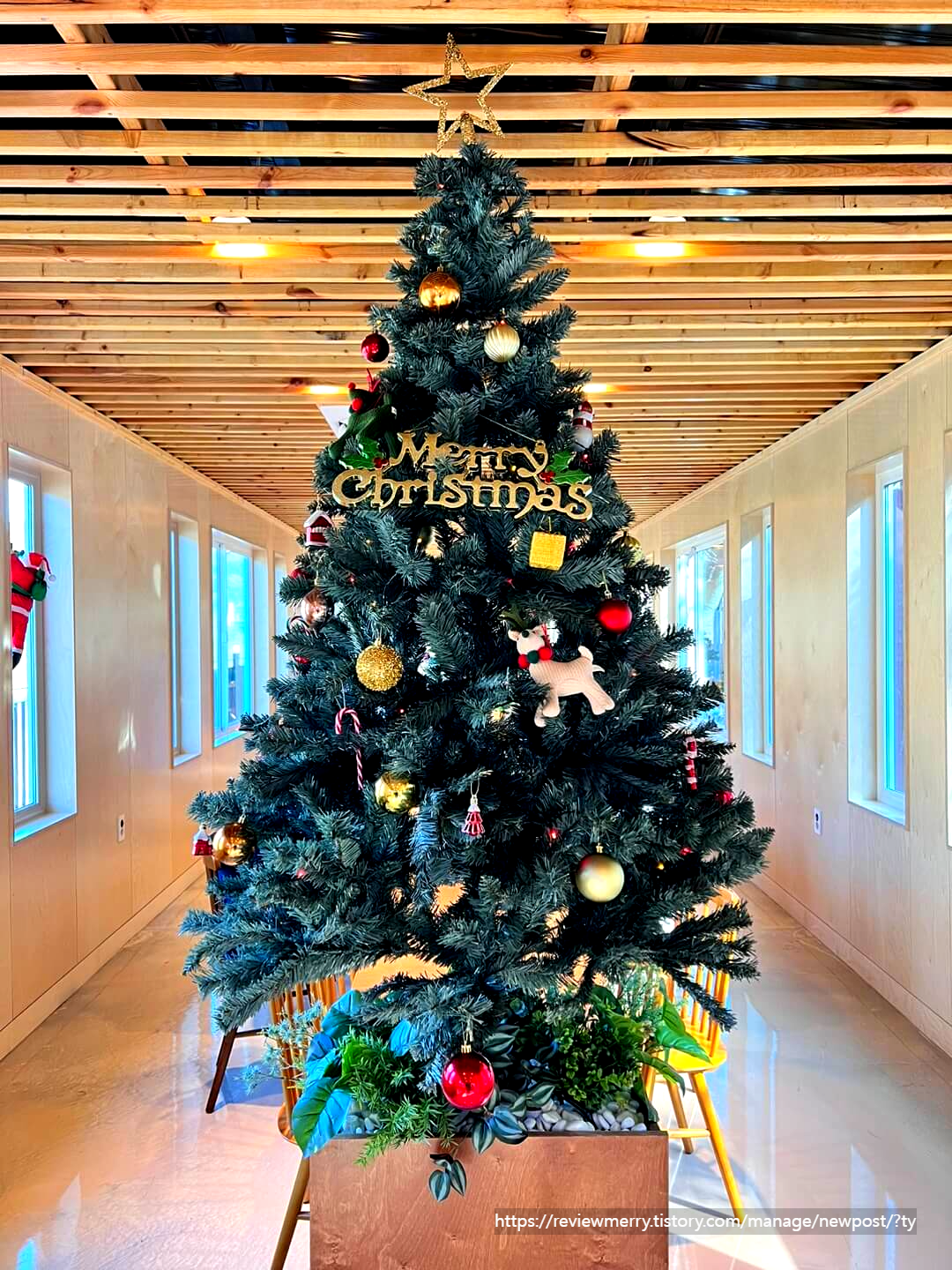카페 내부 크리스마스 트리