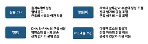무기질의 기능 및 효과