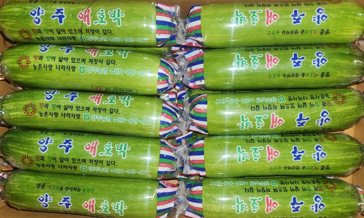 비닐에 싸인 채 상자에 담겨 나온 애호박