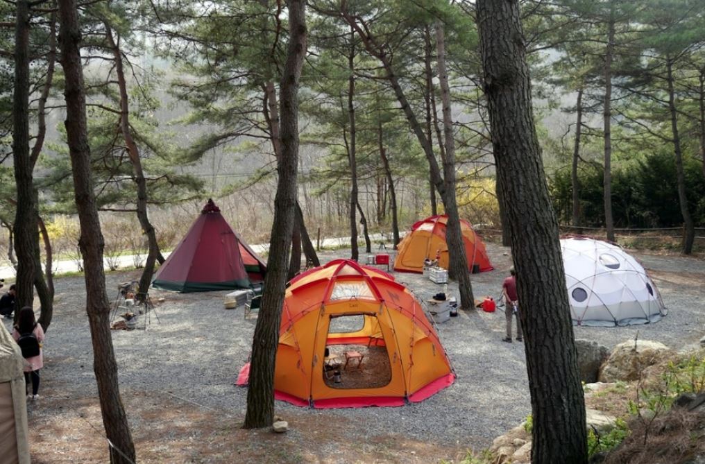 춘천 황금박쥐캠핑장 소개