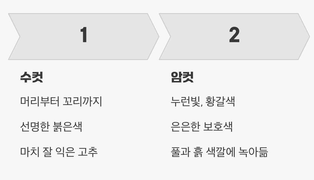 꿀팁 1. 가장 확실한 단서, '몸통 색깔'