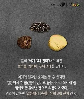 세계 3대 미식 국가 음식 문화와 대표 요리 정리_6