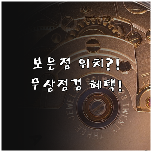 현대자동차 블루핸즈 보은점 연락처 및..