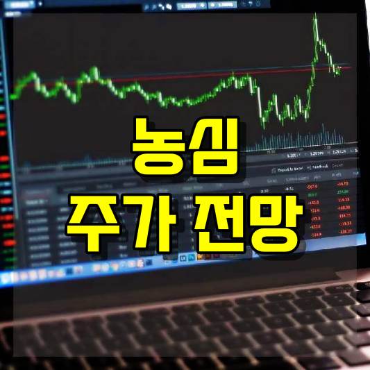 농심 주가 전망