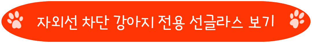 자외선 차단 강아지 전용 선글라스