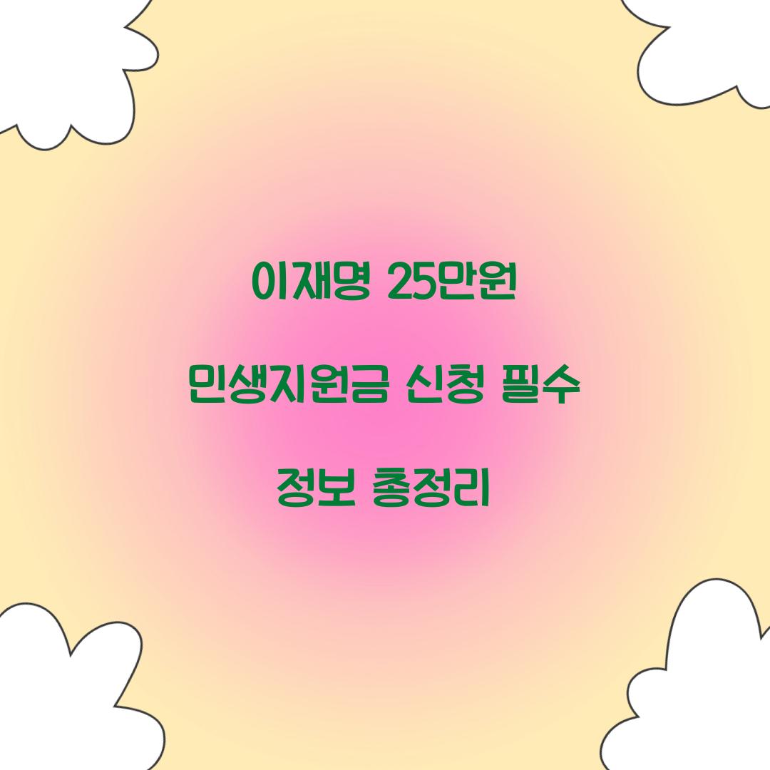 이재명 25만원 민생지원금
