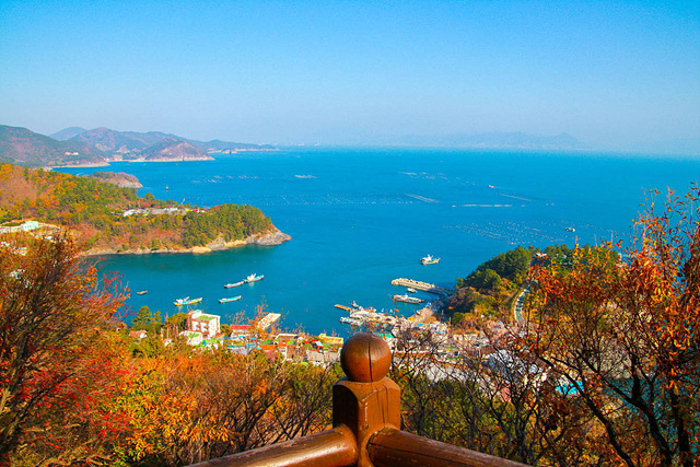 여수 맛집 10곳 현지인추천 여수여행 오동도 향일암