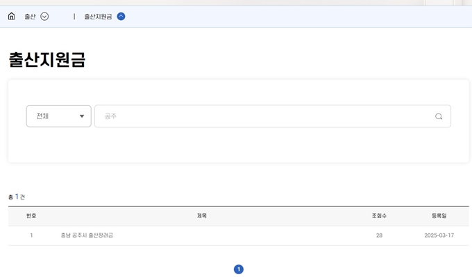 2025년 공주 출산지원금 혜택 조회