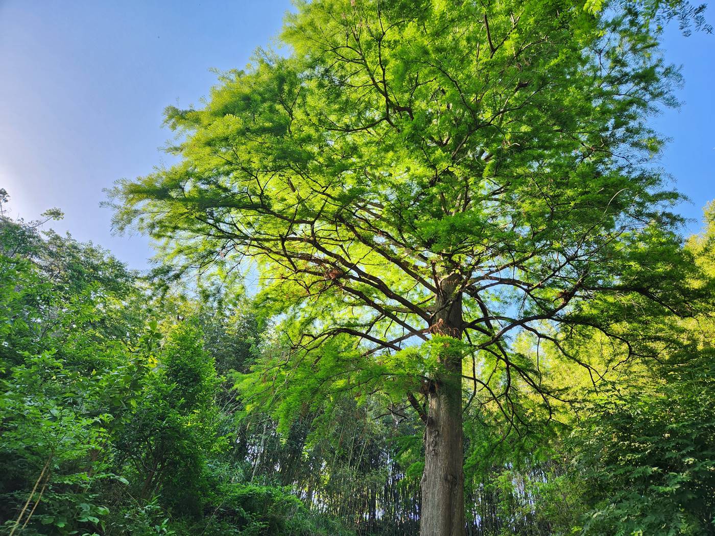 포항 기청산식물원