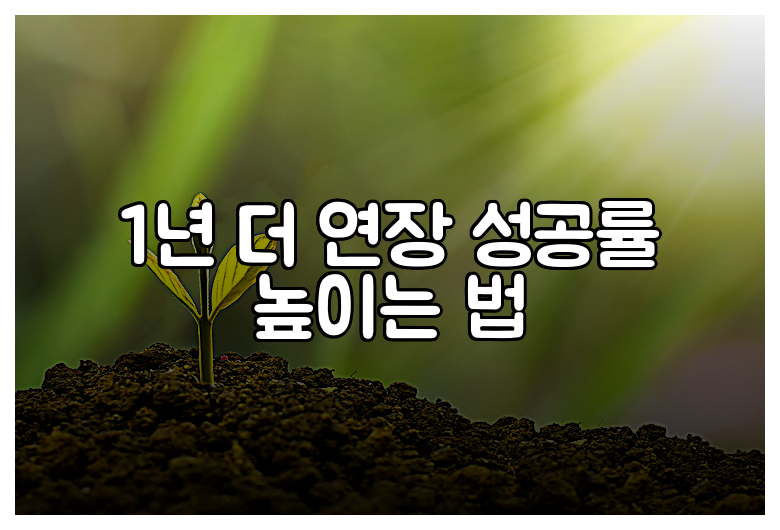 1년 더 연장 성공률 높이는 법