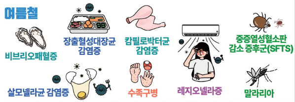 식중독 원인과 증상, 치료와 예방 법