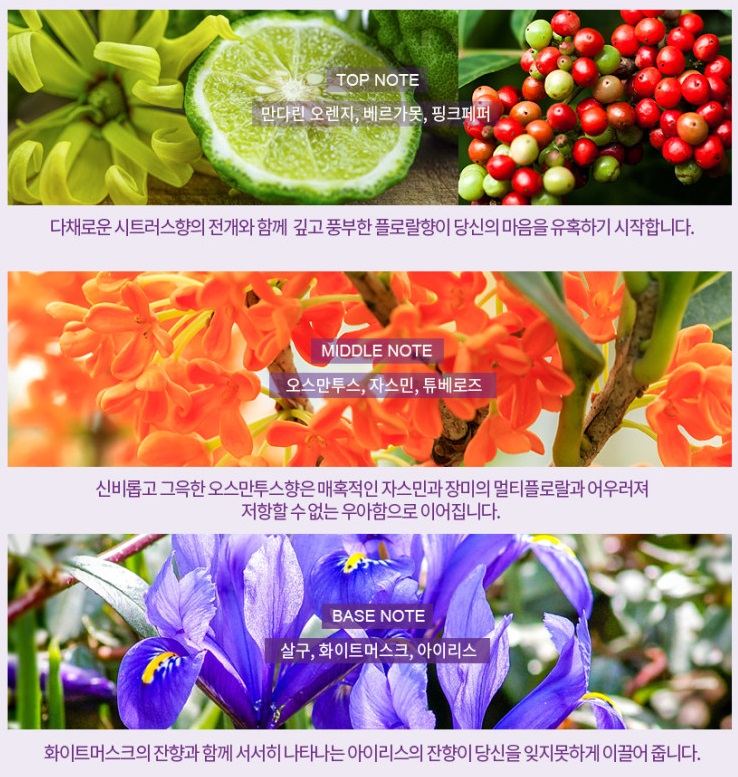 오스만투스 노트