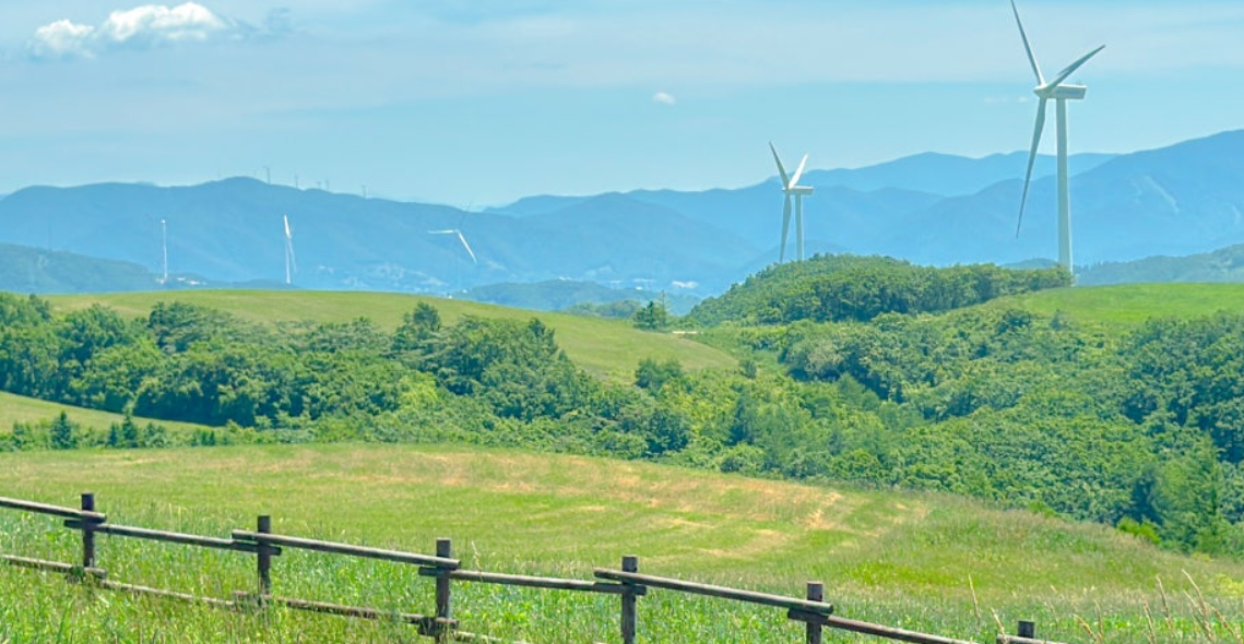 평창 대관령 삼양목장
