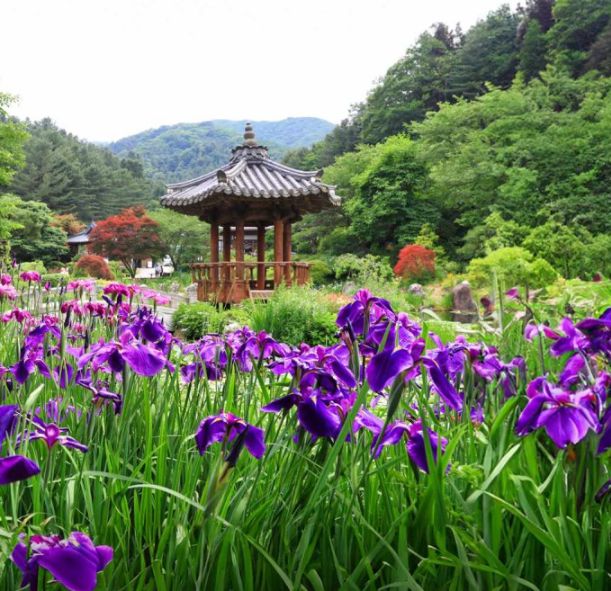 아침고요수목원 & 쁘띠프랑스