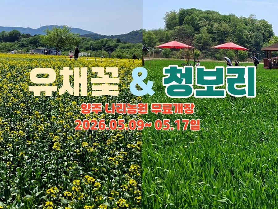 유채꽃과-청보리-썸네일