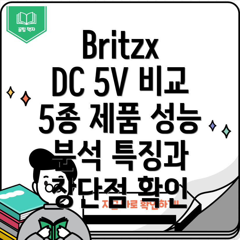 BritzxDC5V제품5종비교분석성능과특징을중심으로