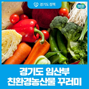 [안양시] 2025년 경기임산부 친환경 농산물 지원사업 추가 모집