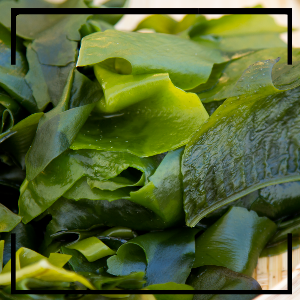 고혈압에 좋은 음식